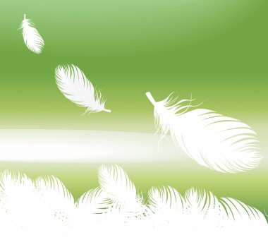 Feathers vector background clipart