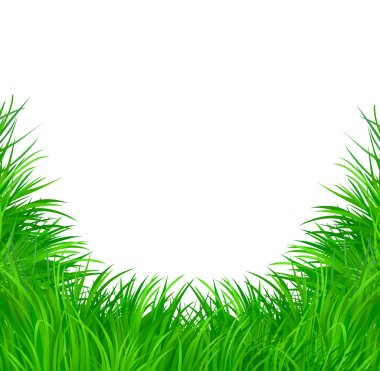 Grass vector pattern background
