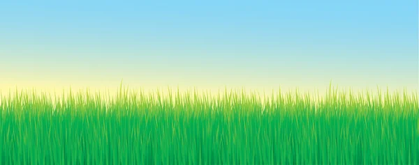 Patrón de vector de hierba banner de fondo — Vector de stock