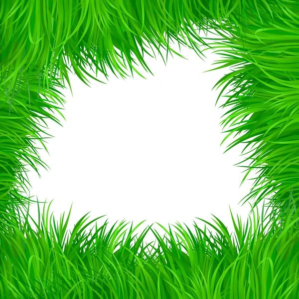 Grass vector pattern background — Stock Vector