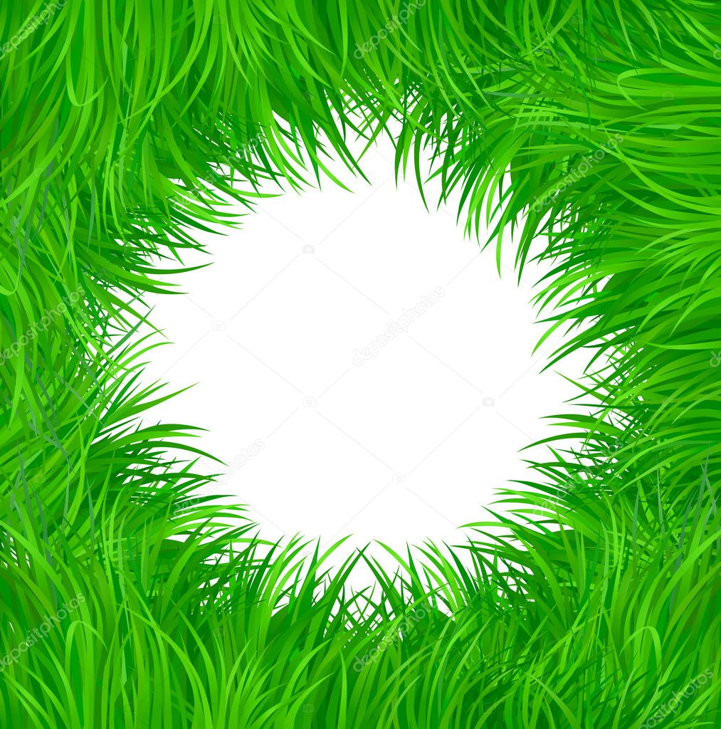 Grass vector pattern background