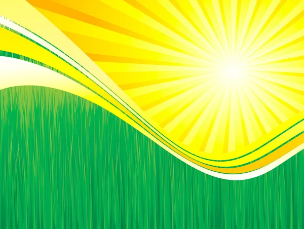 Grama verde e sol primavera fundo vetor —  Vetores de Stock
