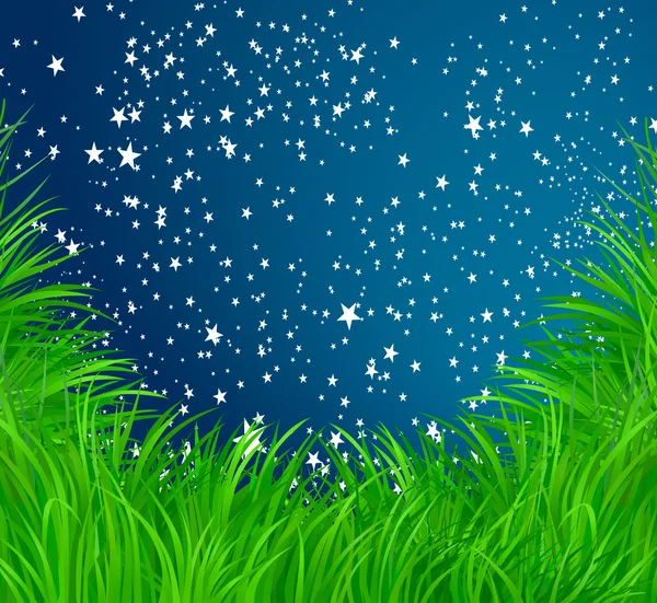 Gras en sterren vector achtergrond — Stockvector