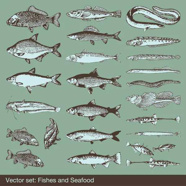Fish vector set background — Stock Vector