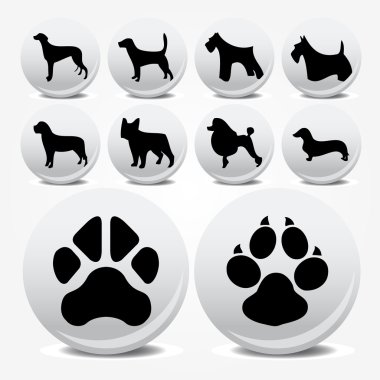 Collection of animal foot prints vector icons clipart