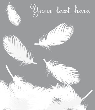 Feathers vector background clipart