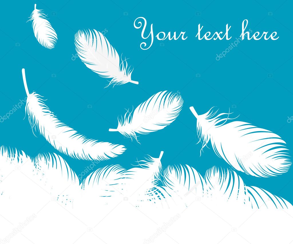 Feathers vector background