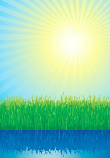 Grama verde, água e vetor de fundo sol — Vetor de Stock