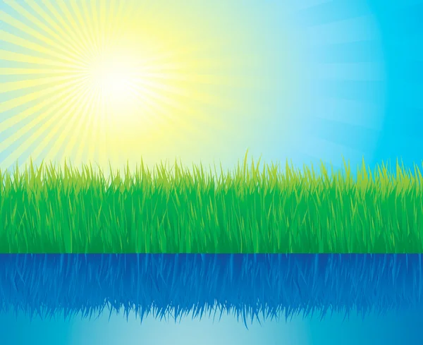 Green grass, water and sun background vector — Stock Vector