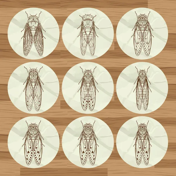 Contexte des insectes — Image vectorielle