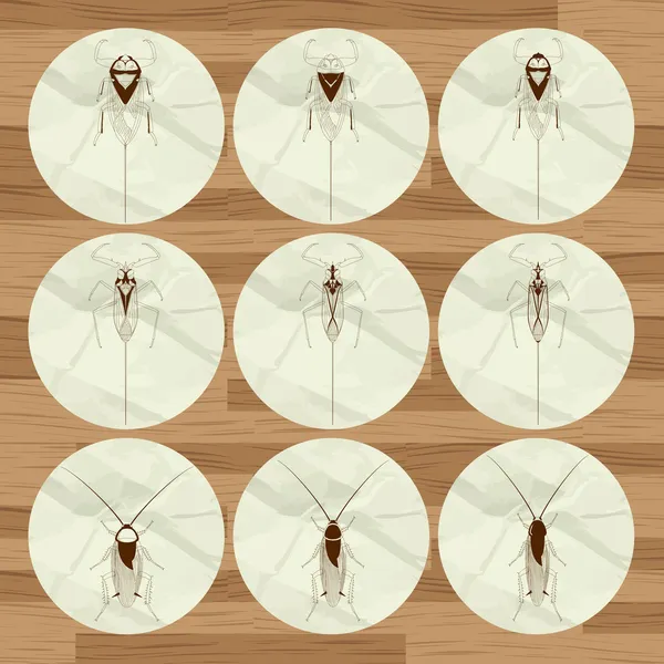 Hmyzu pozadí — Stockový vektor