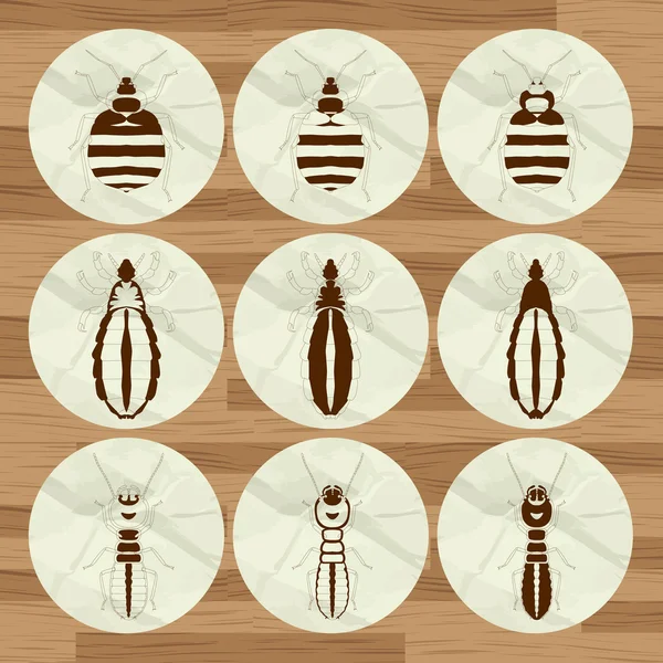 Фон насекомых — стоковый вектор