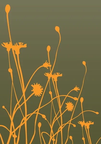 Floral achtergrond vector met cactus bloemen — Stockvector