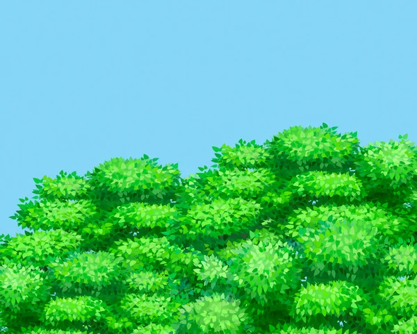 Grüner Wald Hintergrundvektor — Stockvektor