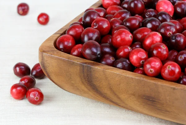 Fresh healthy cranberries — Stock Photo, Image