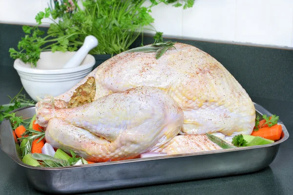 Raw turkey, dressed — Stock Photo, Image