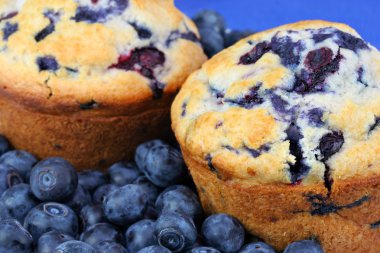 Fresh baked blueberry muffins clipart