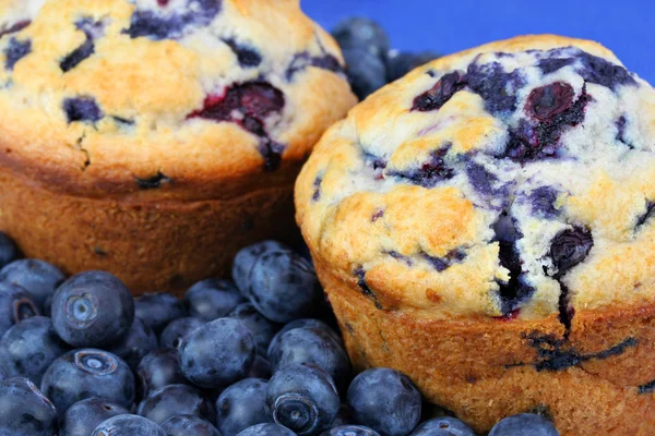 Muffins aux bleuets frais cuits au four — Photo