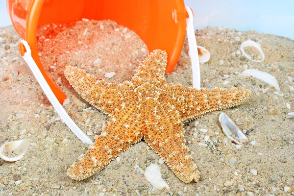 Starfish na praia com balde — Fotografia de Stock