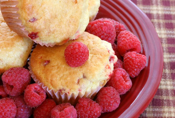 Muffin al lampone sani con frutta — Foto Stock