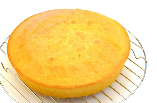 One cake layer cooling — Stock Photo, Image