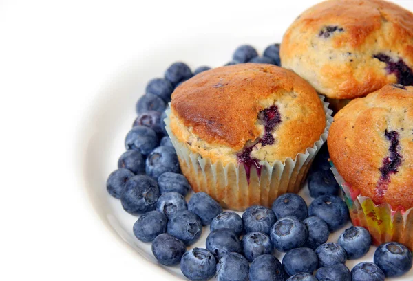 蓝莓松饼和新鲜蓝莓 — 图库照片