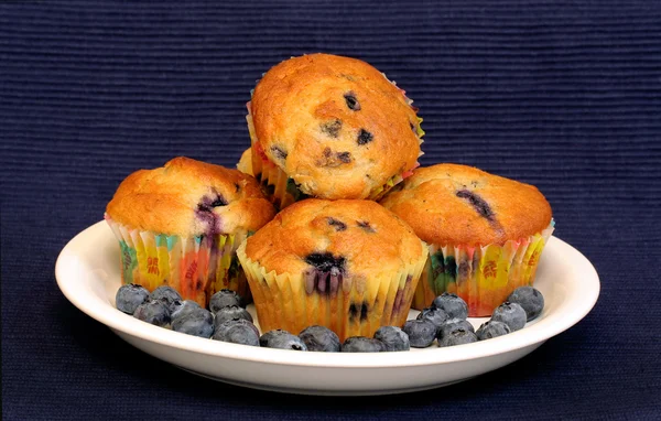Muffins de mirtilo frescos — Fotografia de Stock