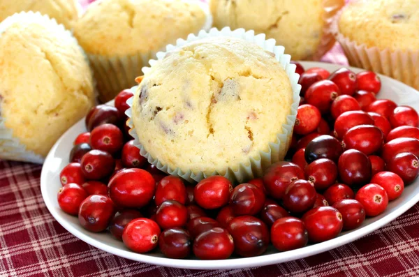 Muffins de cranberry e cranberries frescos — Fotografia de Stock