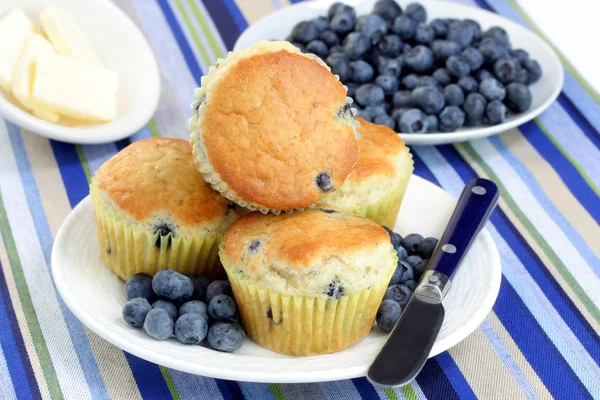 Muffin ai mirtilli con mirtilli freschi — Foto Stock