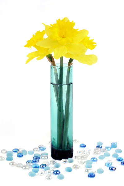 Нарциссы в вазе на белом — стоковое фото
