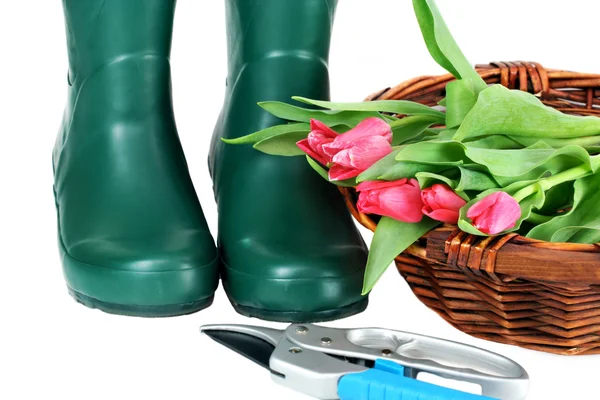 Garden Boots. Basket and Tulips — Stock Photo, Image