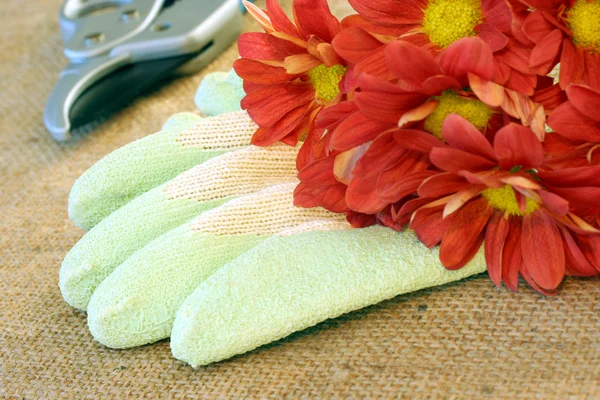 Garden gloves, pruners and flowers. — Stock Photo, Image