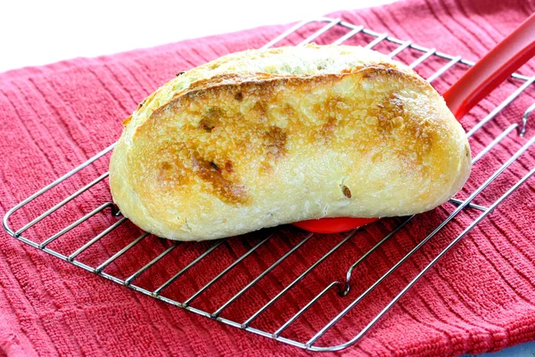 Свежий хлеб на холодильной полке — стоковое фото