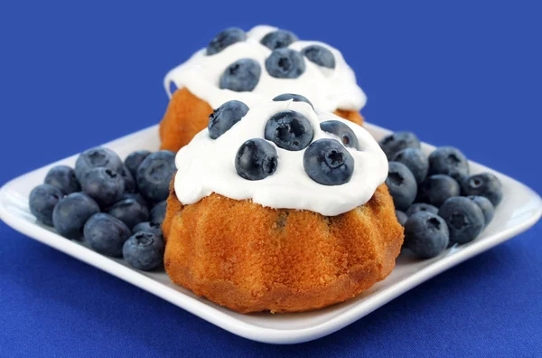Mini Cakes with Cream and Blueberries — Stock Photo, Image