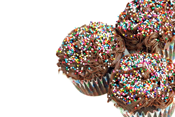 Chocolade cupcakes op wit — Stockfoto