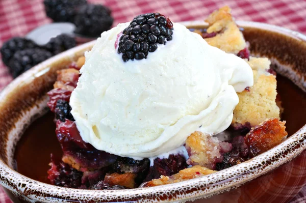 Berry koláč se zmrzlinou — Stock fotografie