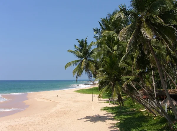 Srí lanka (Cejlon), pobřeží oceánu — Stock fotografie