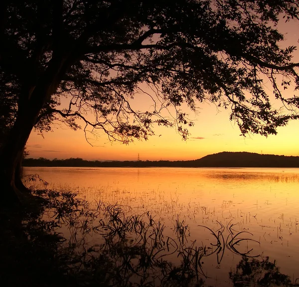 斯里兰卡岛，日落在湖上 — 图库照片