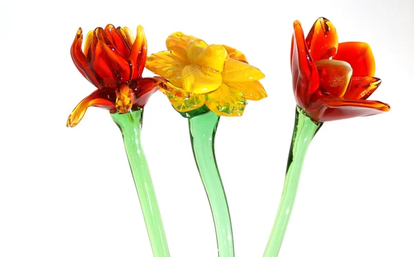 Izole renkli cam çiçekler — Stok fotoğraf
