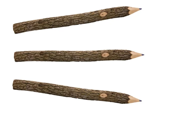 Crayons pour dessiner à partir d'une branche d'arbre — Photo