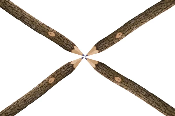 Pennor för ritning från en trädgren — Stockfoto