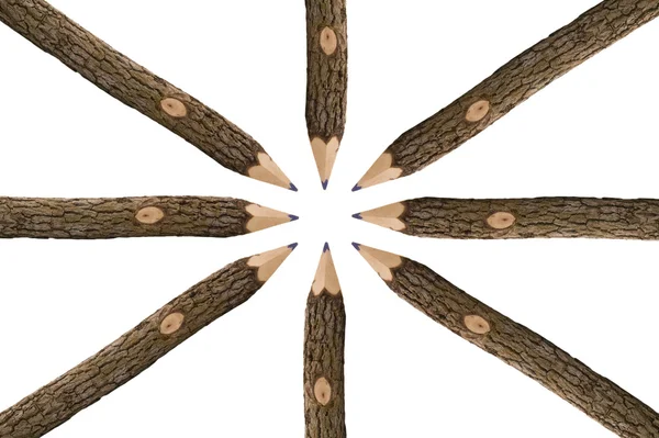 Ceruza rajz egy fa ága — Stock Fotó