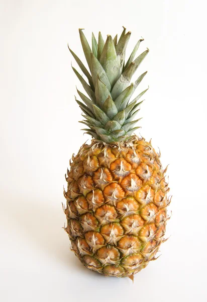 Ananas izolovaný na bílém — Stock fotografie