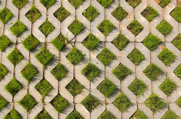 Green grass grows from the concrete — Stock Photo, Image