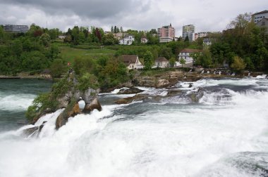 Şelale Rhine Falls (Rheinfall)