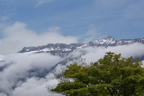 瑞士阿尔卑斯山中的厚厚的白云和雾的视图 — 图库照片