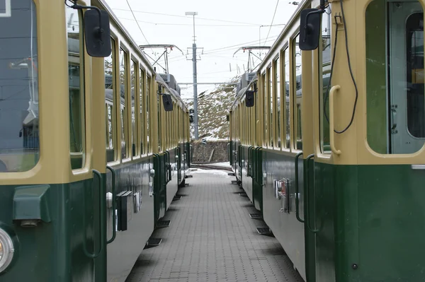 Der Bahnsteig mit zwei stehenden Zügen — Stockfoto