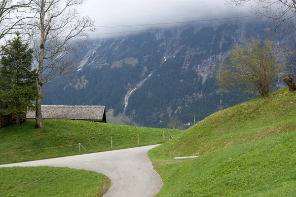 Suíça, Alpes, vista para os prados alpinos — Fotografia de Stock