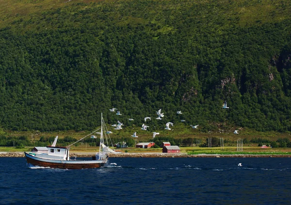 Gabbiani che inseguono Barca da pesca Fotografia Stock