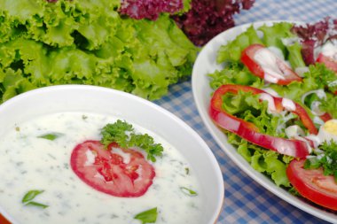 yoğurt salata sosu